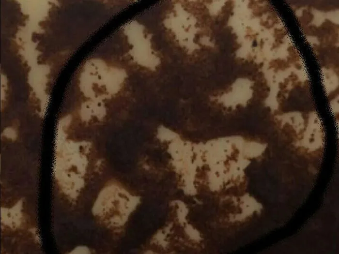 Запись на прием к гадалке в Южно-Сахалинске